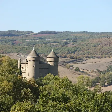 Chateau De Lugagnac 4* 塔恩河畔里维耶尔
